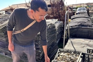 From Bordeaux: Cap Ferret Peninsula Private Tour, Ocean and Oyster Village