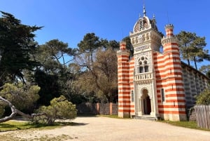 From Bordeaux: Cap Ferret Peninsula Private Tour, Ocean and Oyster Village