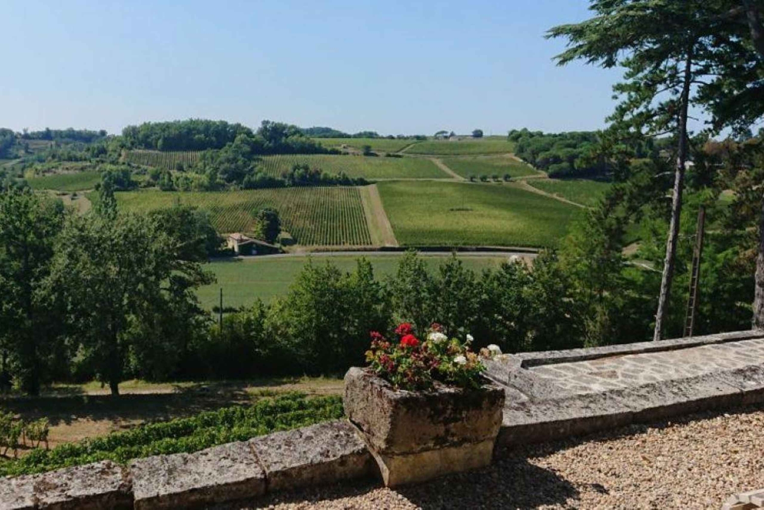 De Bordéus: tour particular pelos castelos de Saint-Émilion