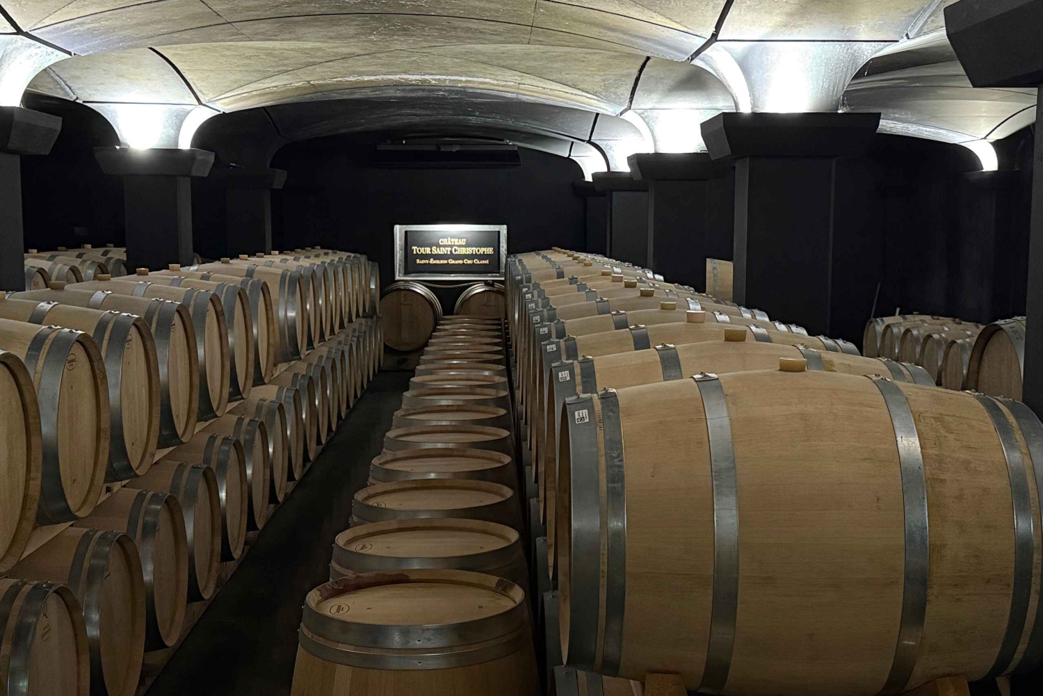 De Bordéus: tour particular pelos castelos de Saint-Émilion