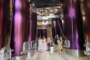 From Bordeaux: Private Tour in the Chateaux of Saint-Émilion