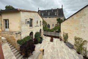From Bordeaux: Private Tour in the Chateaux of Saint-Émilion