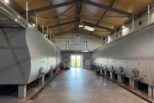 From Bordeaux: Private Tour in the Chateaux of Saint-Émilion