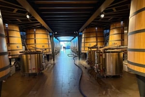 From Bordeaux: Private Tour in the Chateaux of Saint-Émilion
