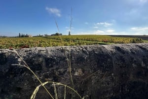 From Bordeaux: Private Tour in the Chateaux of Saint-Émilion