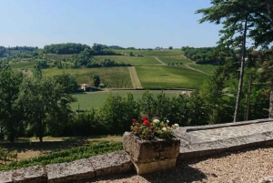 De Bordéus: tour particular pelos castelos de Saint-Émilion
