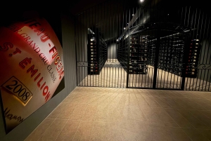 De Bordéus: tour particular pelos castelos de Saint-Émilion