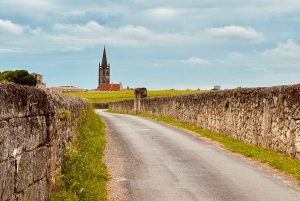 De Bordéus: tour particular pelos castelos de Saint-Émilion