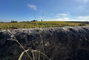 De Bordéus: tour particular pelos castelos de Saint-Émilion