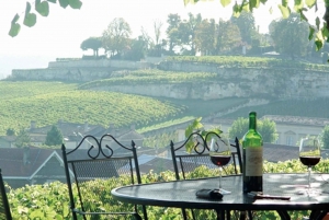 From Bordeaux: Private Wine Tour in Medoc