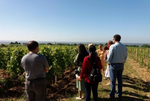 From Bordeaux: Saint-Emilion wine tour half-day