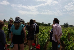 From Bordeaux: Saint-Emilion wine tour half-day