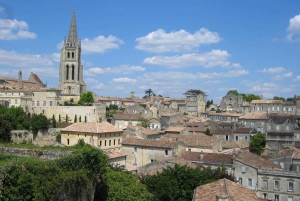From Bordeaux: Saint Emilion and Medoc Day Trip with Lunch
