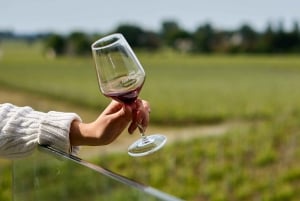 De Bordeaux: Tour gastronômico e de vinhos em Saint-Émilion