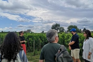 Bordeaux'sta: Saint-Émilionin puolen päivän retki viininmaisteluineen