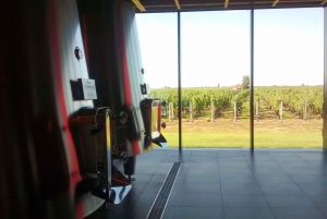 From Bordeaux: Saint-Emilion Private Wine Tour