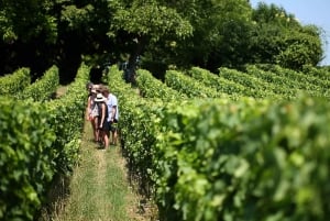 From Bordeaux: Saint-Emilion Wine Tasting Experience