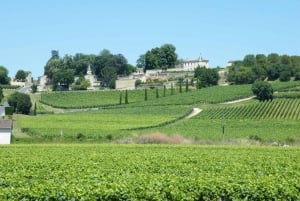 From Bordeaux: Saint-Emilion wine tour half-day