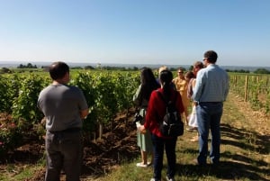 From Bordeaux: Saint-Emilion wine tour half-day