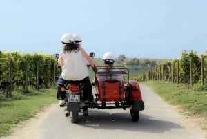 Vanuit Bordeaux: Saint-Emilion wijntour in een zijspan
