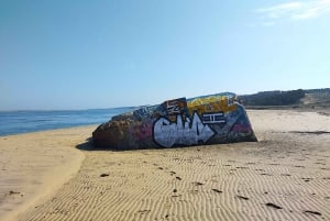 From Bordeaux: Surf & Ocean Day Trip in Lacanau
