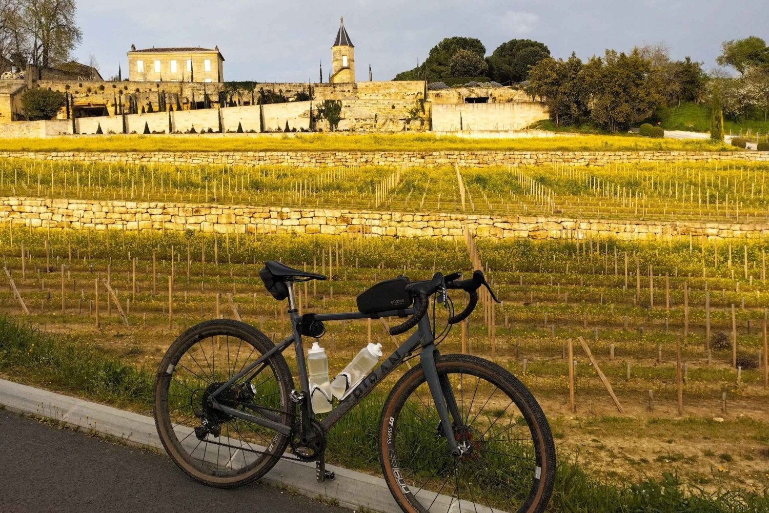 From Bordeaux to Saint Emilion by gravel bike - wine tasting