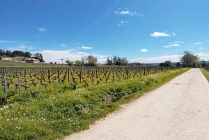 From Bordeaux to Saint Emilion by gravel bike - wine tasting