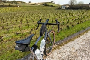 De Bordeaux a Saint Emilion em bicicleta de cascalho - degustação de vinhos