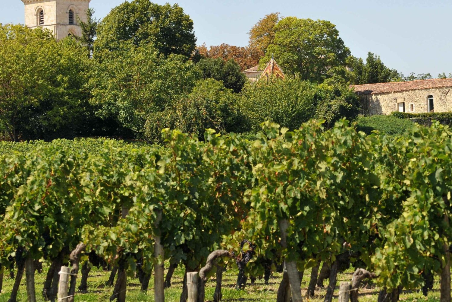 Bordeaux: Half-day trip to Blaye & Bourg, Wine and Heritage