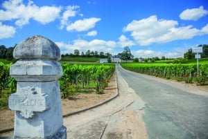 Från Bordeaux: Heldagstur till St Émilion för vinprovning