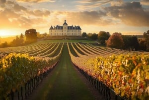 Depuis le port de croisière du Verdon : Excursion guidée à Bordeaux