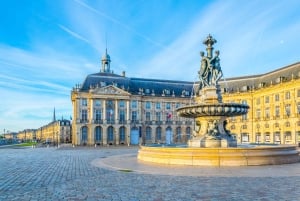 Depuis le port de croisière du Verdon : Excursion guidée à Bordeaux