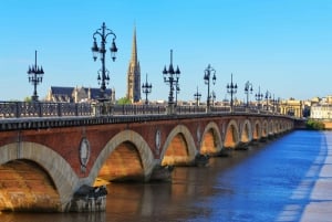 Depuis le port de croisière du Verdon : Excursion guidée à Bordeaux