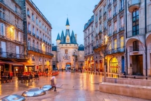 Depuis le port de croisière du Verdon : Excursion guidée à Bordeaux