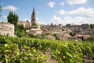 Depuis le port de croisière du Verdon : Excursion guidée à Bordeaux