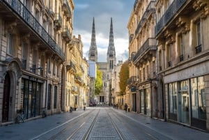 Depuis le port de croisière du Verdon : Excursion guidée à Bordeaux