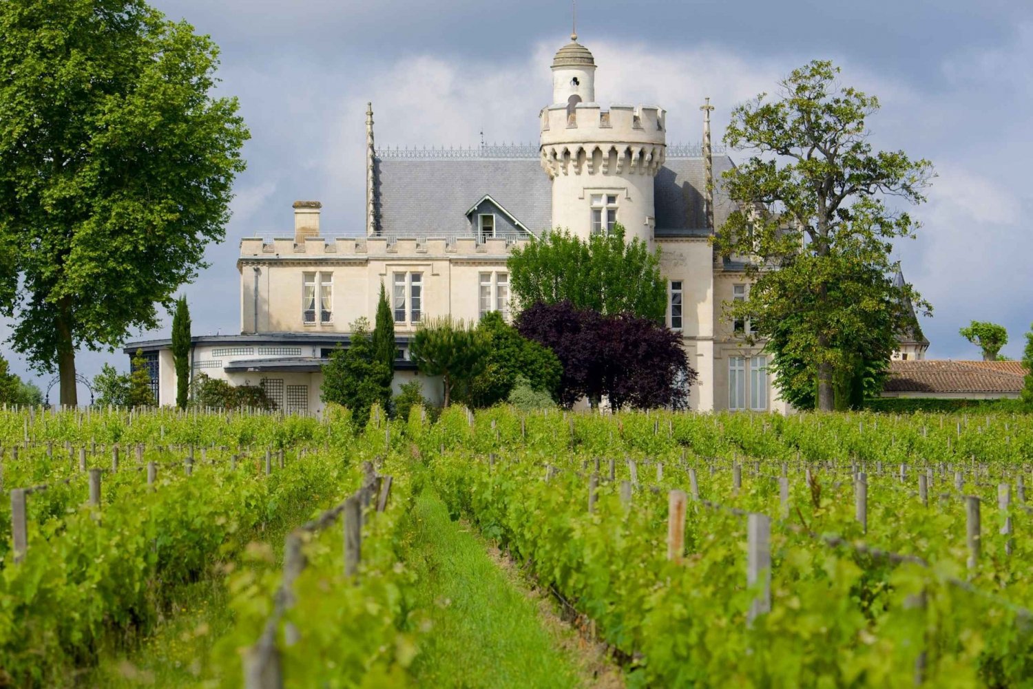 From San Sebastián: Bordeaux & Winery Private Guided Tour