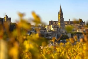 Från Bordeaux: Halv dags tur till St Émilion för vinprovning