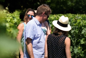 Full-Day gourmet tour & Medoc visit with lunch