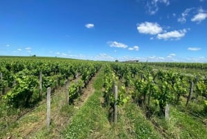 Full Day Wine tour in saint emilion & Margaux