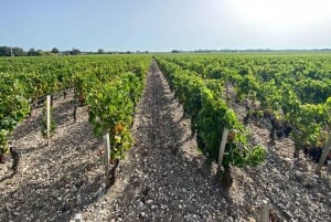 Full Day Wine tour in saint emilion & Margaux