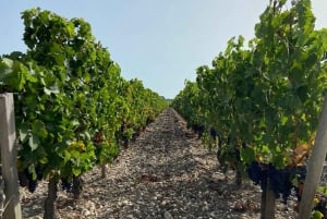 Full Day Wine tour in saint emilion & Margaux