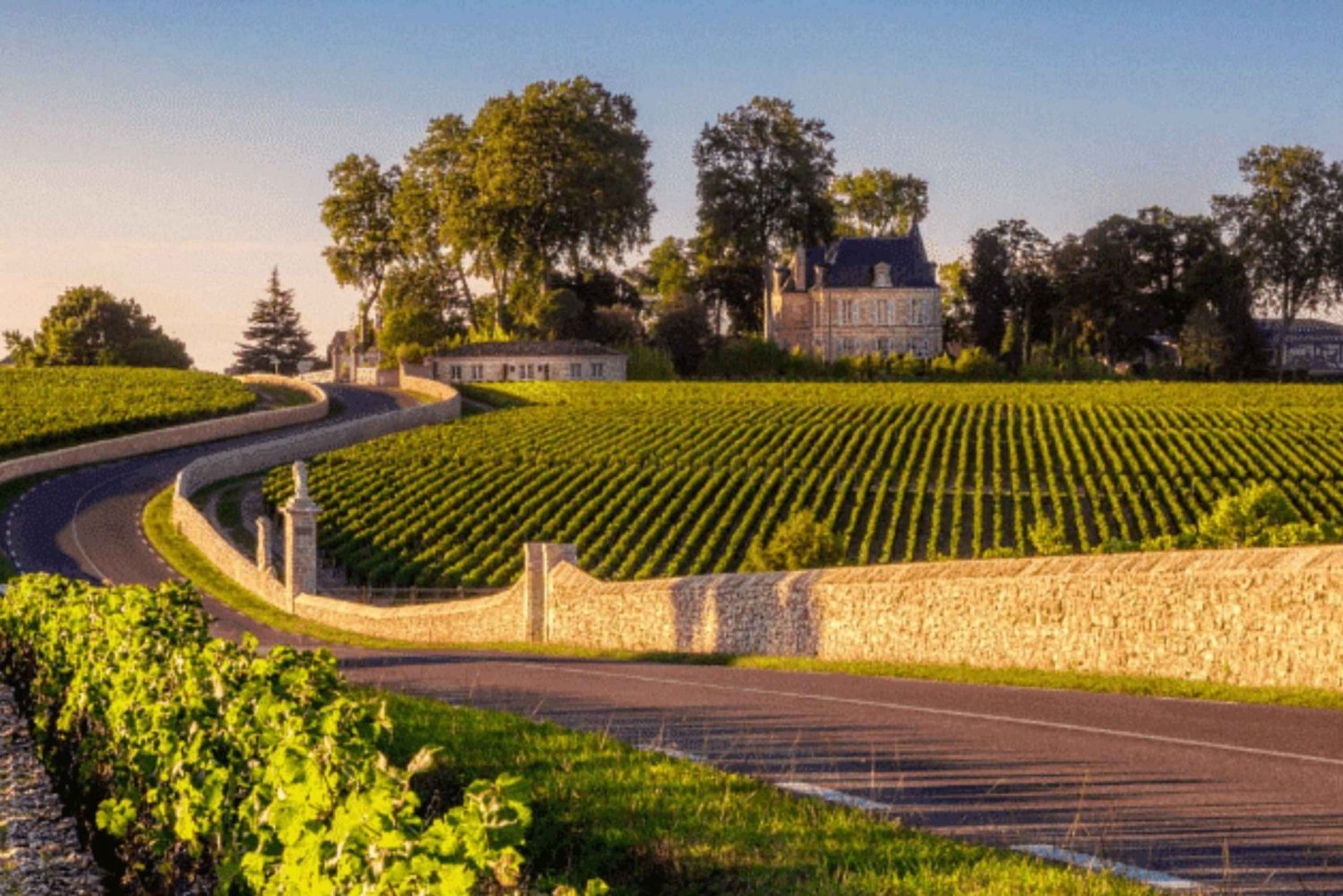 Half-day in the Médoc from Bordeaux - 2 wineries and 6 wines