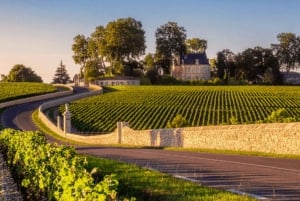 Half-day in the Médoc from Bordeaux - 2 wineries and 6 wines