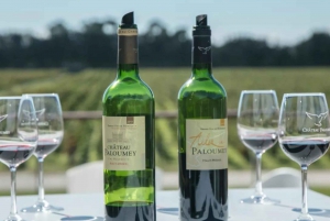 Half-day in the Médoc from Bordeaux - 2 wineries and 7 wines