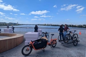 Bordeaux: Historical Bike Tour of the Three Bridges