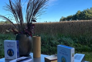 In Gironde: Yoga, walk, and brunch in nature—for all levels
