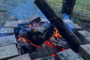 En Gironda: Día de yoga, paseo y brunch en la naturaleza, para todos los niveles.