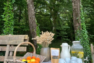 En Gironda: Día de yoga, paseo y brunch en la naturaleza, para todos los niveles.