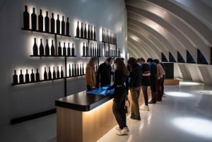 Bordeaux: Cité du Vin Direktebillett og vinsmaking